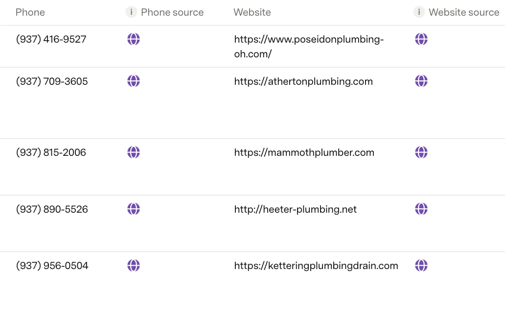 Phone and website columns, each with its source column